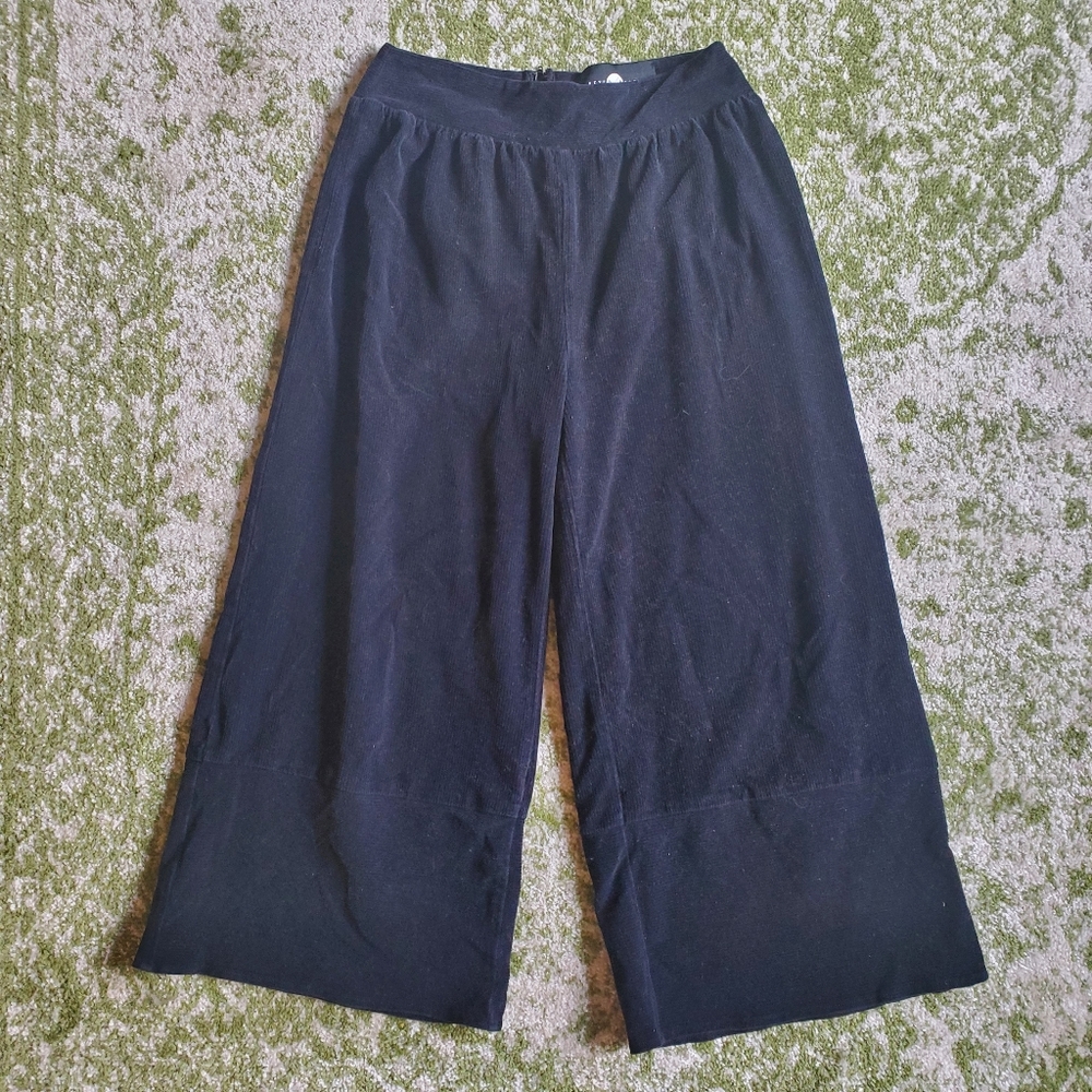 Nasty Gal wide legged pants